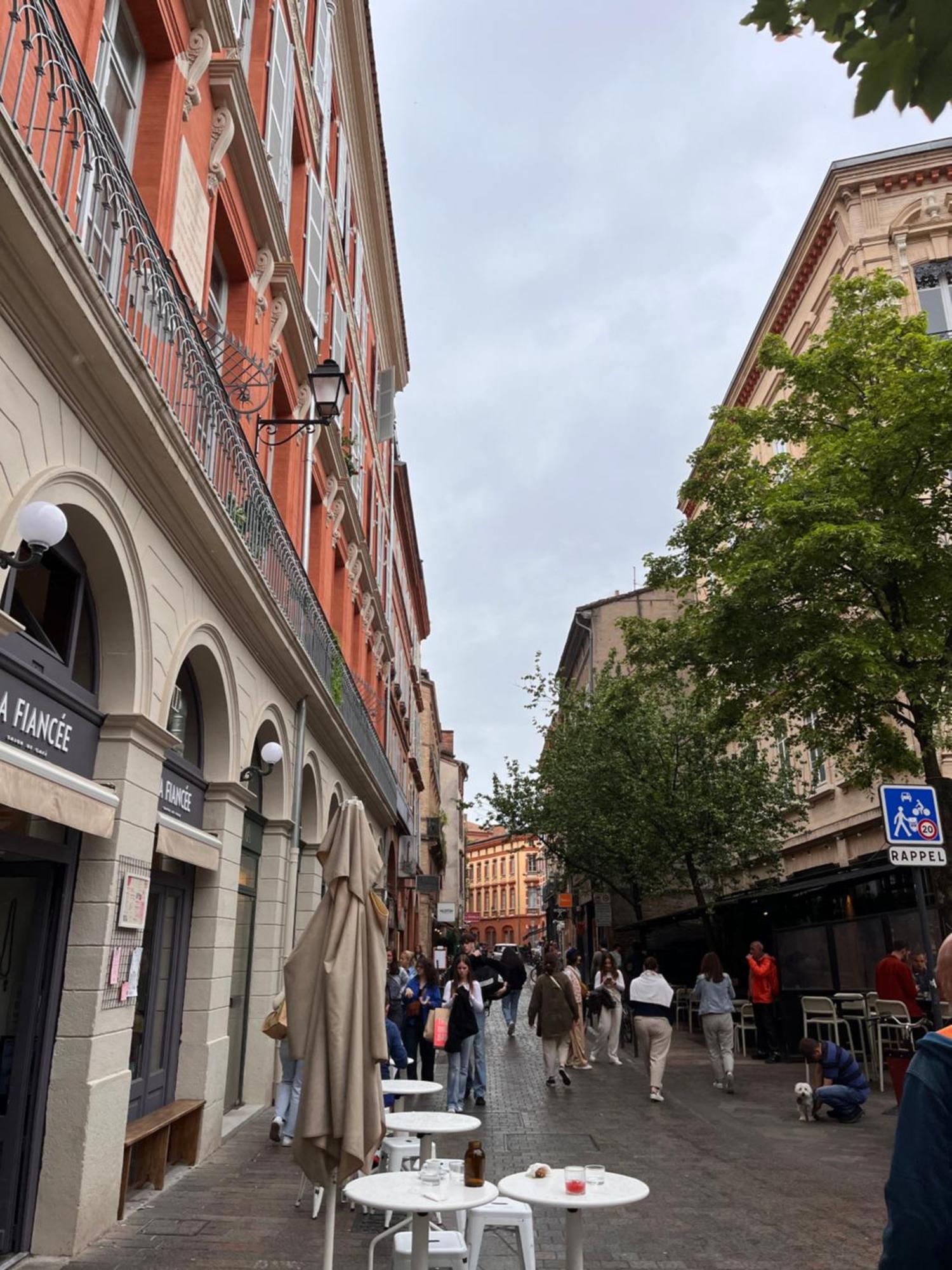 Le Petit Toulousain Chic Tolosa Esterno foto